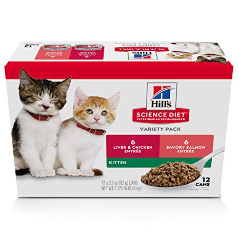 Hill's Science Diet Canned Wet Cat Food, Kitten Recipes