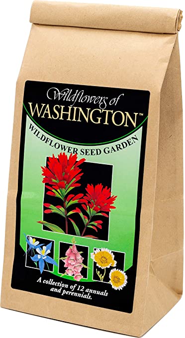 Washington Wildflower Seed Mix - Over 40,000 Premium Seeds - by 'createdbynature'