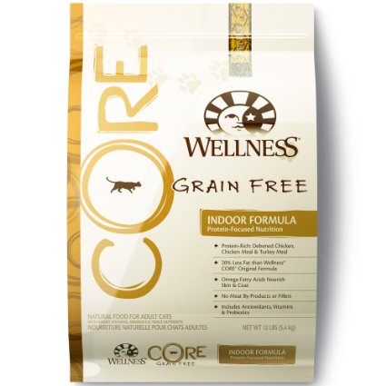Wellness CORE Natural Grain Free Dry Cat Food