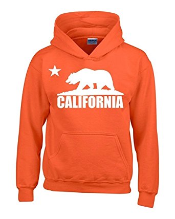 Artix California Republic Bear White Unisex Hoodie California Sweatshirts