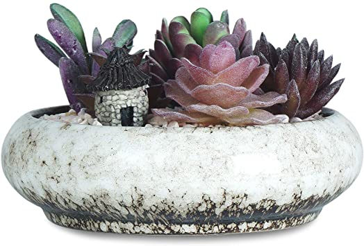 6.1 Inch Round Succulent Planter Pots with Drainage Hole Bonsai Pots Garden Decorative Cactus Stand Ceramic Glazed Flower Plant Container Bowl(White)