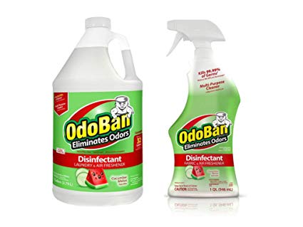 OdoBan Ready-to-Use 32oz Spray Bottle and 1 Gal Concentrate, Cucumber Melon Scent