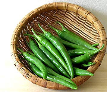 Go Green Chilli/Pepper Jwala Seeds (Pack of 50)