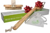 Best Dry Skin Body Brush with Natural Bristles to Exfoliate and Detox for Healthy and Beautiful Skin - FREE Bag - Cellulite Massager and Treatment - Improve Circulation - Perfect Gift - Buy Now