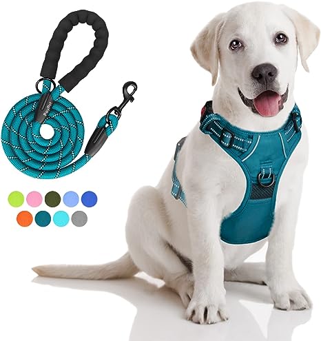 PoyPet No Pull Dog Harness and 5 Feet Leash Set, Release on Neck Reflective Adjustable Pet Vest, Front & Back 2 D-Ring and Soft Padded Pet Harness with Handle for Small to Large Dogs(Tumalo Teal,M)