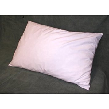 16x20 Throw Pillow Form Insert PC