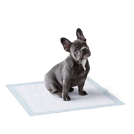 AmazonBasics Pet Training and Puppy Pads with Leak-Proof Quick-Dry Design, Regular - 50 Piece