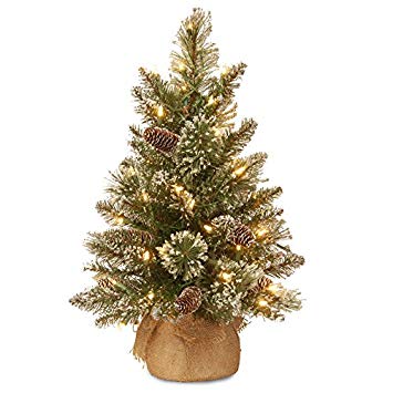 National Tree 2 Foot Glittery Bristle Pine Tree with White Tipped Cones and 15 Battery Operated Warm White LED Lights s in Burlap Base (GB3-392-20-B1)