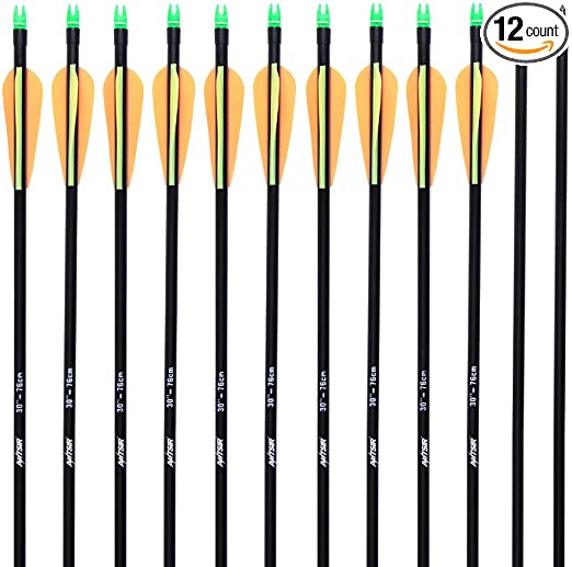 ANTSIR 30 Archery Target Arrow-Hunting Arrow for Adult and Youth Practice,with Double Shaft Steel Field Tip for Compound & Recurve Bow(Pack of 12)