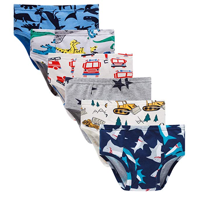 Boboking Little Boys Briefs Dinosaur Truck Toddler Kids Underwear (Pack of 6)