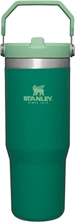 Stanley IceFlow Stainless Steel Tumbler with Straw - Vacuum Insulated Water Bottle for Home, Office or Car - Reusable Cup with Straw Leakproof Flip - Cold for 12 Hours or Iced for 2 Days (Alpine)