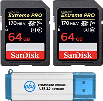 SanDisk 64GB SDXC SD Extreme Pro Memory Card (Two Pack) Bundle works with Nikon D3500, D7500, D5600 Digital DSLR Camera 4K V30 U3 (SDSDXXY-064G-GN4IN) Plus (1) Everything But Stromboli (TM) 3.0 Reader