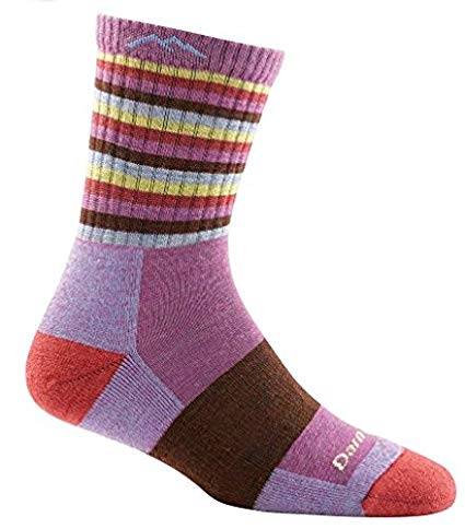 Darn Tough Vermont Women's Merino Wool Micro Crew Cushion Socks