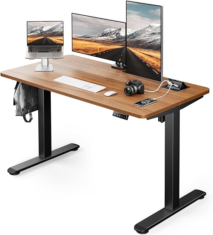 ErGear Electric Standing Desk Adjustable Height, 48 x 24 Inches Desktop with Hidden AC&DC Outlet, Socket Tray, Anti-Collision, Ergonomics, Home Office, Game, Walnut