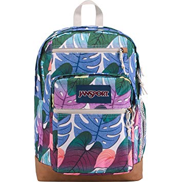 JanSport Cool Student Backpack