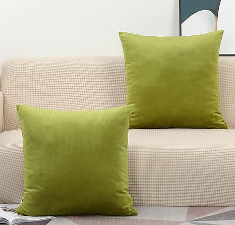 TangDepot Set of 2 Velvet Throw Pillow Covers, Super Soft, Square Pillowcases - (20x20 Inch 2 Pieces, G01 Olive Green)