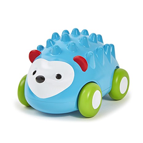 Skip Hop Baby Explore and More Developmental Pull and Go Push Toy, Multi, Hedgehog