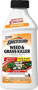 Spectracide Weed & Grass Killer Concentrate2 (HG-66001) (16 fl oz)