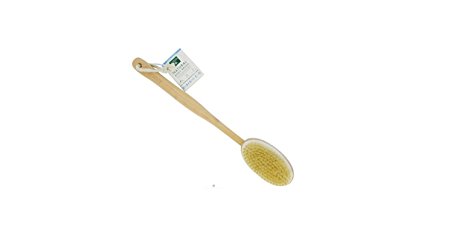 Earth Therapeutics Ecology Series Body Brush, Far Reaching  (Pack of 3)