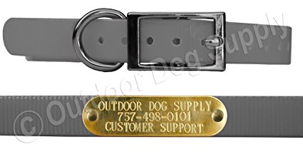 Outdoor Dog Supply's 3/4" Wide Solid D Ring Dog Collar Strap with Custom Brass Name Plate