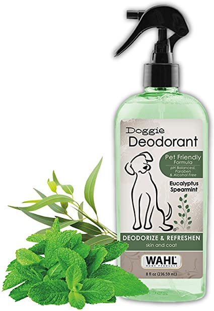 Wahl Deodorizing & Refreshing Pet Deodorant for Dogs - Eucalyptus & Spearmint to Refresh the Skin and Coat - 8 Oz