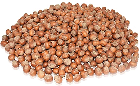 Anna and Sarah Large Oregon Hazelnuts in Shell (2.5 Lbs)