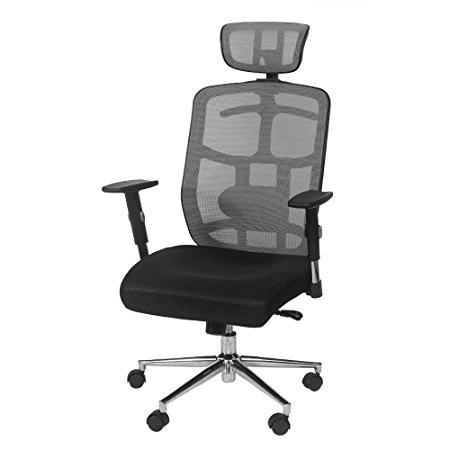 TOPSKY Mesh Computer Office Chair Ergonomic Design Chair Skeletal Back Synchronous Mechanism(Gray) Hanger function