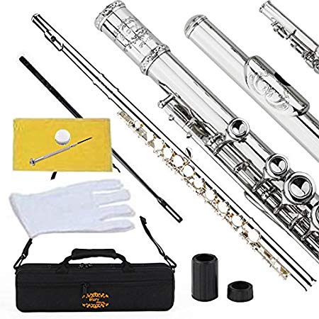 Engraved Glory Closed Hole C Flute for Band, Orchestra, With Case, Tuning Rod and Cloth,Joint Grease and Gloves, Engraved Silver Nickel Color flute