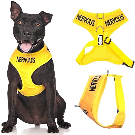 Dexil Limited Nervous (Give Me Space) Yellow Color Coded Non-Pull Front and Back D Ring Padded and Waterproof Vest Dog Harness Prevents Accidents by Warning Others of Your Dog in Advance