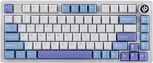 EPOMAKER x LEOBOG Hi75 Aluminum Alloy Wired Mechanical Keyboard, Programmable Gasket-mounted Gaming Keyboard with Mode-Switching Knob, Hot Swappable, NKRO, RGB (White Purple, Ice Cyan Switch)