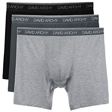 David Archy 3 Pack Men's Underwear Separate Pouches Micro Modal Boxer Briefs with Fly
