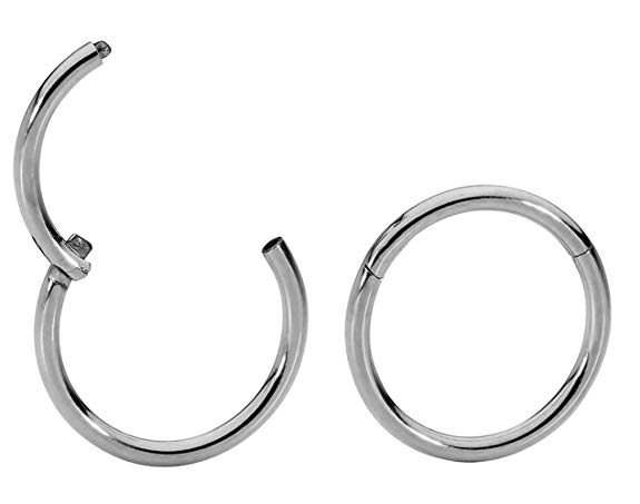 365 Sleepers 1 Pair Titanium 16G (Regular) Hinged Segment Ring Hoop Sleeper Earrings Body Piercing 6mm / 7mm / 8mm / 9mm / 10mm / 11mm / 12mm / 13mm / 14mm / 16mm