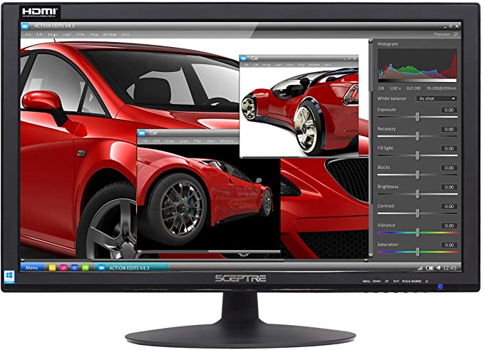 Sceptre 24 Inch 75Hz 1080p LED Monitor with Build-in Speakers HDMI VGA Ports, New Black 2019 (E248W-1920)