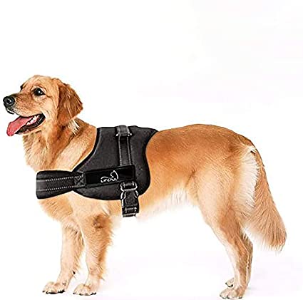 Lifepul(TM) No Pull Dog Vest Harness - Dog Body Padded Vest - Comfort Control for Large Dogs in Training Walking - No More Pulling, Tugging or Choking by Lifepul
