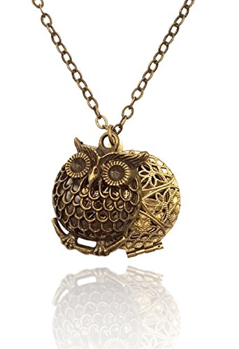 Owl Charm Bronze-tone Brass-tone Aromatherapy Necklace Essential Oil Diffuser Locket Pendant Jewelry w/reusable felt pads!
