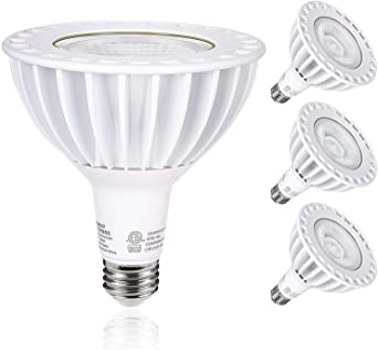 Hykolity Outdoor LED Flood Light Bulb, PAR38, 3000lm, 32W(300 Watt Equivalent), Replacement for Halogen Flood Spot Light, Waterproof, Dimmable, 5000K Daylight, E26 Base, ETL Listed (4 Pack)