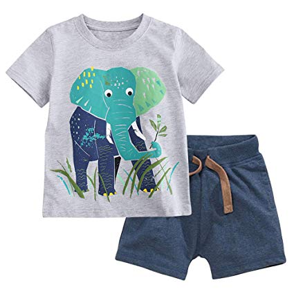 Fiream Boy's Cotton Clothing Sets T-Shirt&Shorts 2 Packs