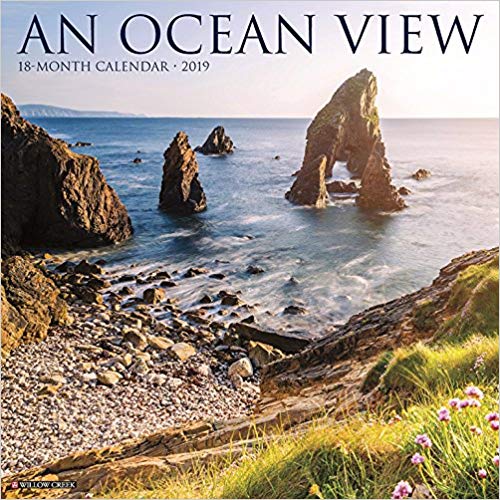 Ocean View 2019 Wall Calendar