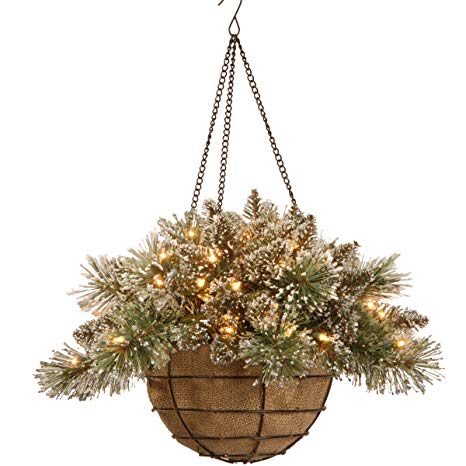 National Tree 20 Inch Glittery Bristle Pine Hanging Basket with White Tipped Cones and 50 Battery Operated Warm White LED Lights (GB3-300-20H-B1)