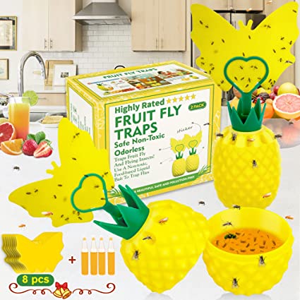 Fruit Fly Trap with Sticky Traps,Gnat Trap with 4 Bait for Indoor and Outdoor,Effective Fly Catcher Gnat Trap Killer ,Sticky Gnat Traps, Non-Toxic and Odorless Fly Trap for Plant/Home/Kitchen(2 Pack)