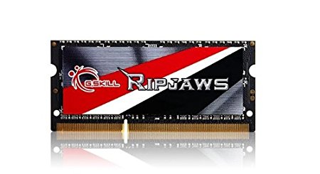 G.Skill Ripjaws Series 8GB 204-Pin DDR3 SO-DIMM DDR3 1600 (PC3 12800) Laptop Memory (F3-1600C9S-8GRSL)