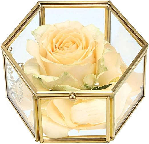 Hipiwe Preserved Flower Glass Box, Hexagon Glass Jewelry Decorative Box, Ornate Trinket Display Organizer Case Keepsake Box Gift for Women and Girls