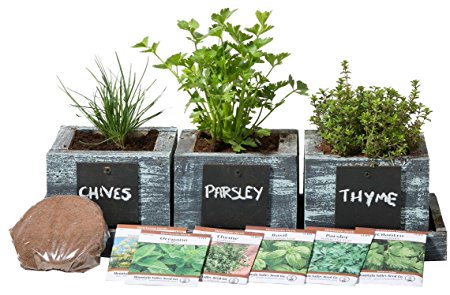 Herb Garden Planter by Planter Pro's - Complete Herb Garden Kit - Indoor Garden Seeds Growing Kit - Grow Cooking Herbs Basil, Chives, Oregano, Parsley & More - Cedar Wood Planter