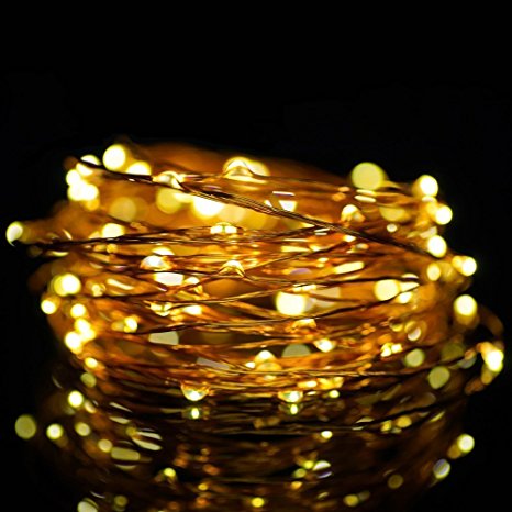 String Lights, Vintar 2 Set of 30 LEDs Super Bright Warm White Flexible Light 9.8 Ft/3M Strip Lighting on Long String Copper Wire with 10 batteries for Garden, Patio, Wedding