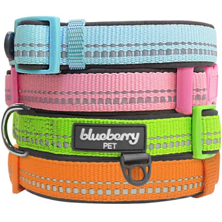 Blueberry Pet Collars For Dogs 3M Reflective Neoprene Padded Dog Collar in Pastel Colors, Matching Leash & Harness Available Separately
