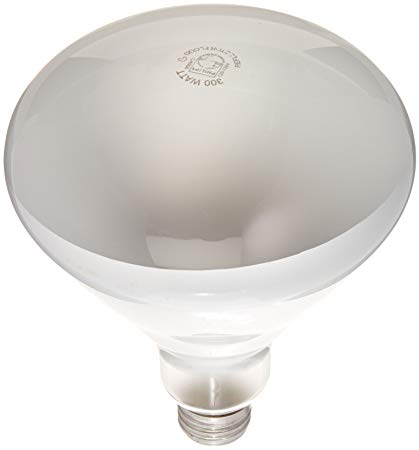 Philips 300-watt BR40 Flood Light Bulb