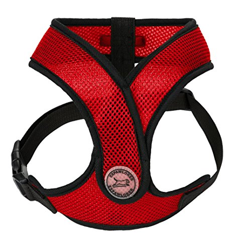 EXPAWLORER Choke Free Padded Small Dog Harness X Design Adjustable Soft Mesh Pet Vest