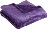 Northpoint Cashmere Plush Velvet Throw Purple 50 X 60