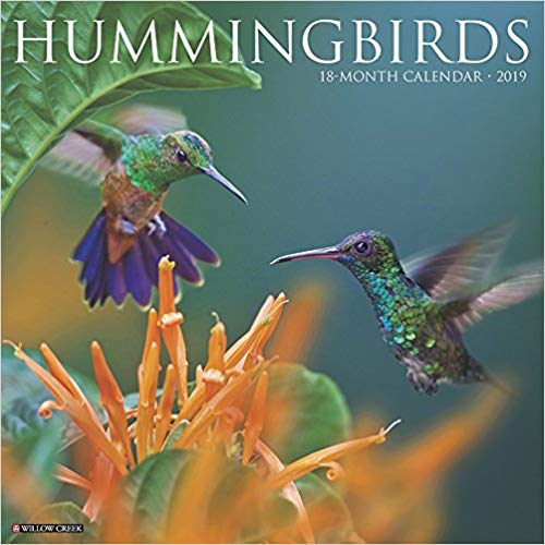 Hummingbirds 2019 Wall Calendar