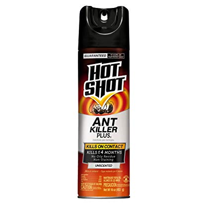 Hot Shot Ant Killer Plus, Aerosol, 16-Ounce